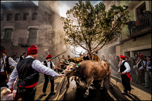 Kamal-ol-Molk Silver Trophy